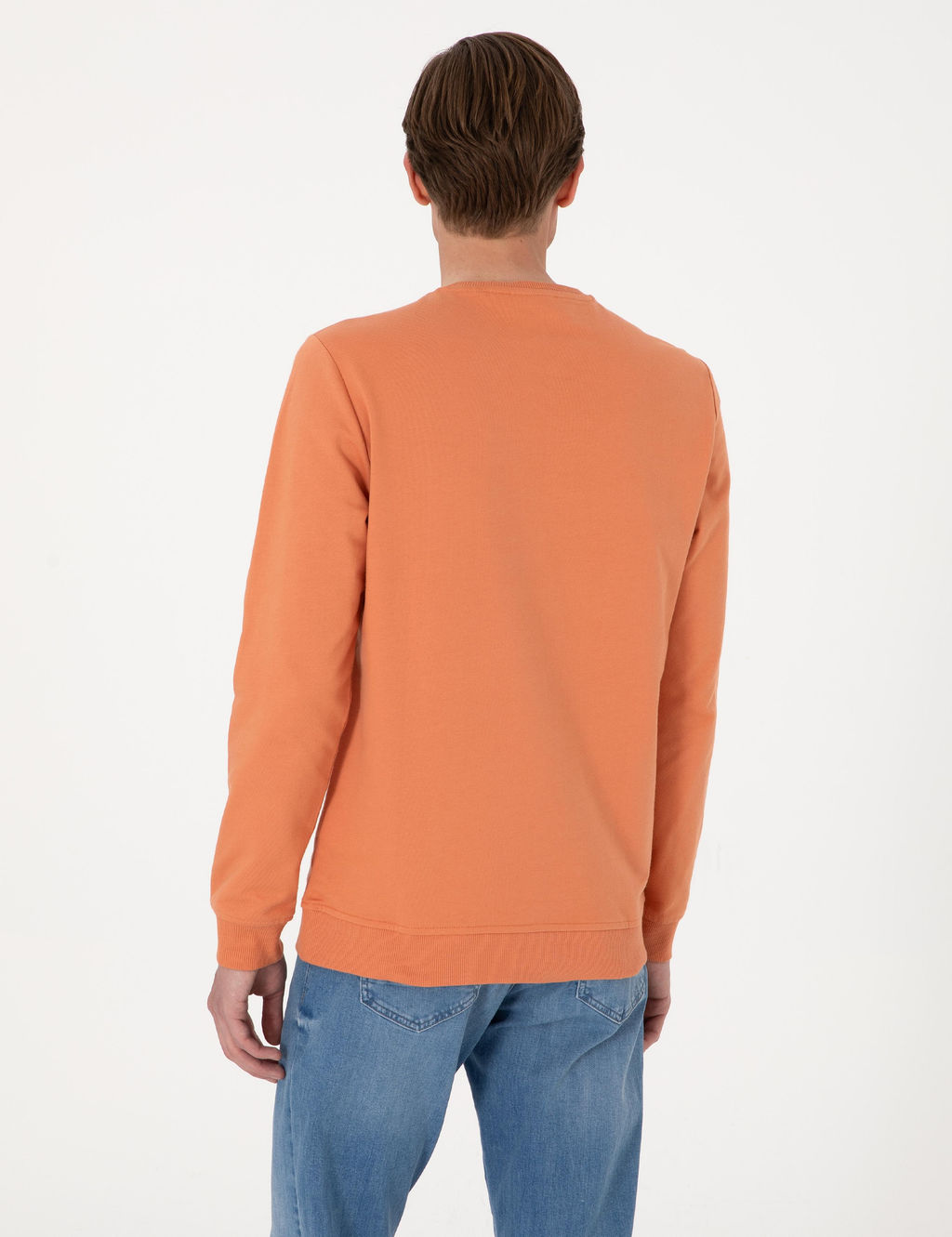 Somon 2 _plik Regular Fit Bisiklet Yaka Basic Sweatshirt - Pierre cardin фото 5