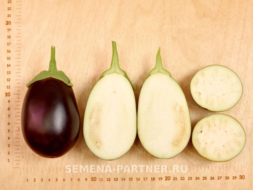 Баклажан Патрик - Партнер фото 7