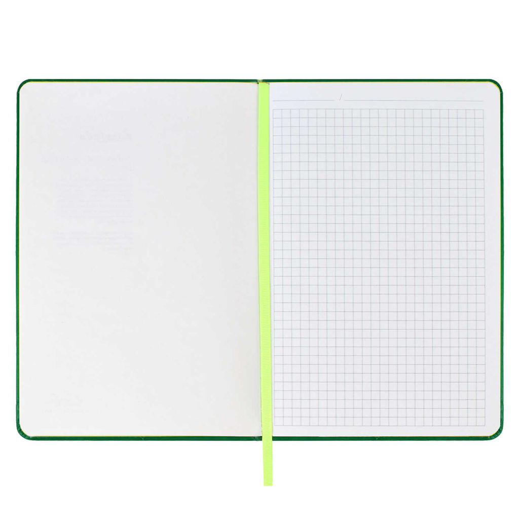 Записная книжка, А5, арт. 52793/ 15 ТЕРМОХРОМ ЗЕЛЁНЫЙ - Феникс+ фото 5