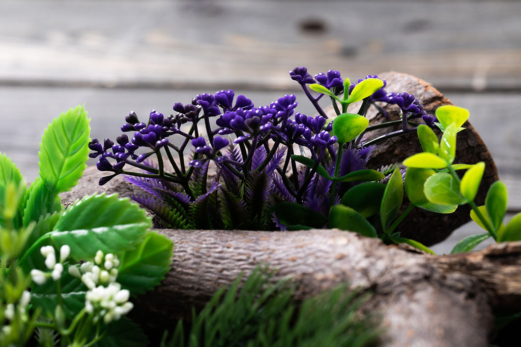 Искусственное растение Blumentag GPT-06 Декоративные элементы для садовых композиций Веточки 6 х 4 шт. 01  фото 12