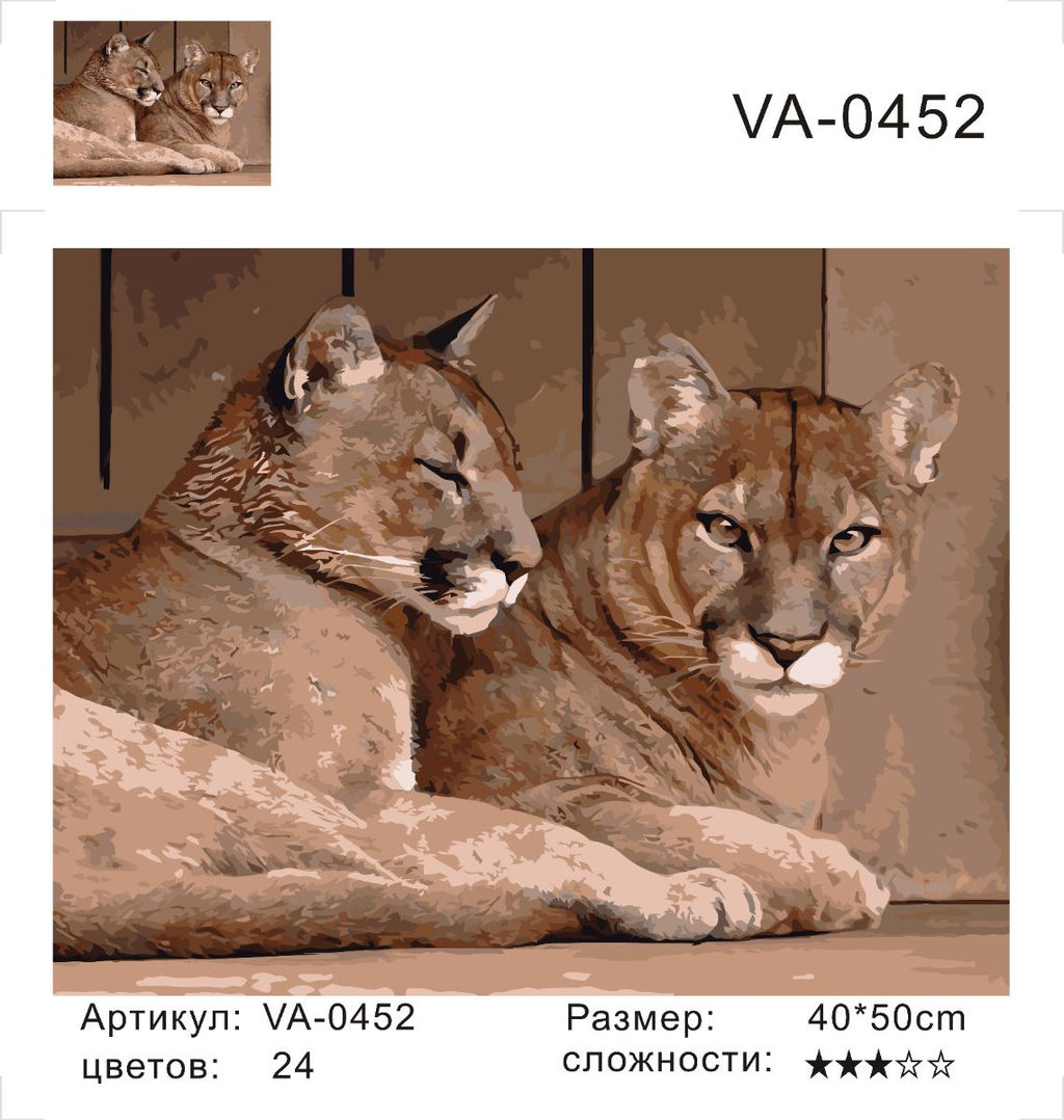 Картина по номерам на холсте и подрамнике 40х50 см