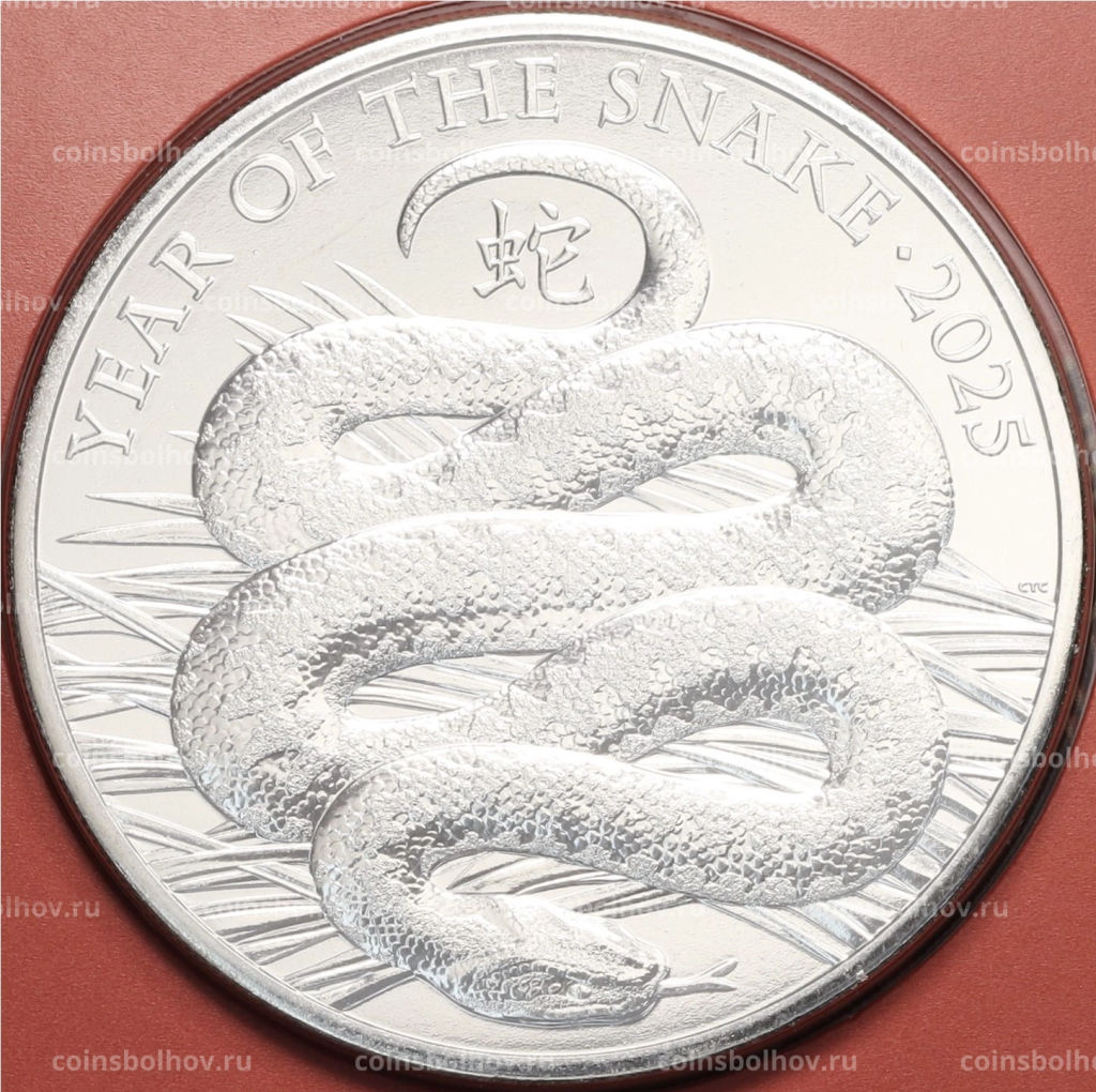 5 фунтов 2025 года Великобритания Год Змеи (в блистере)