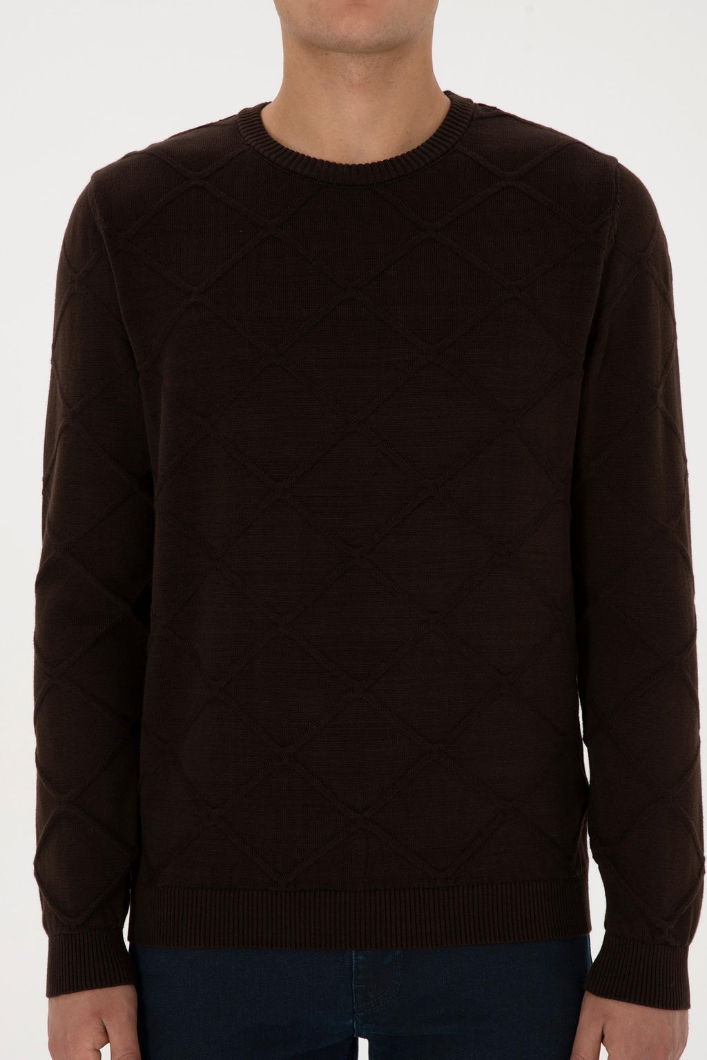 Erkek Regular Fit Bisiklet Yaka Koyu Kahverengi Kazak - U.s. polo assn фото 6