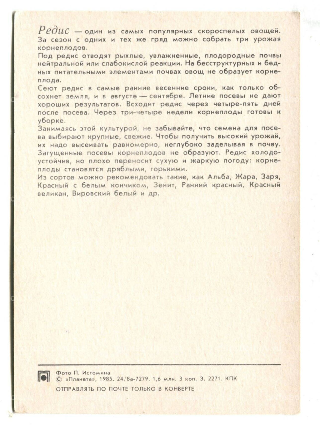 Открытка Редис