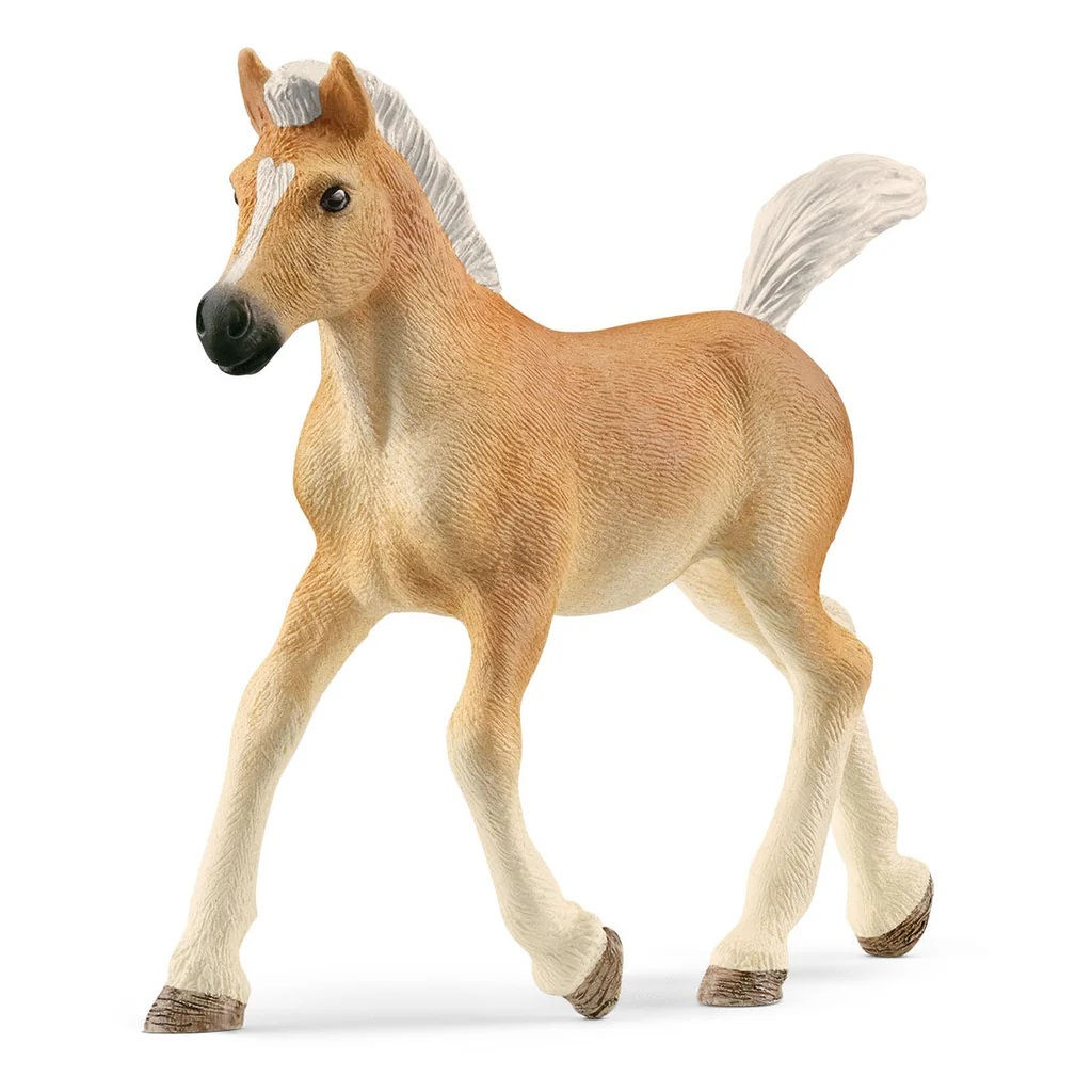 Schleich. Фигурка арт.13951 "Жеребенок Хафлингер"