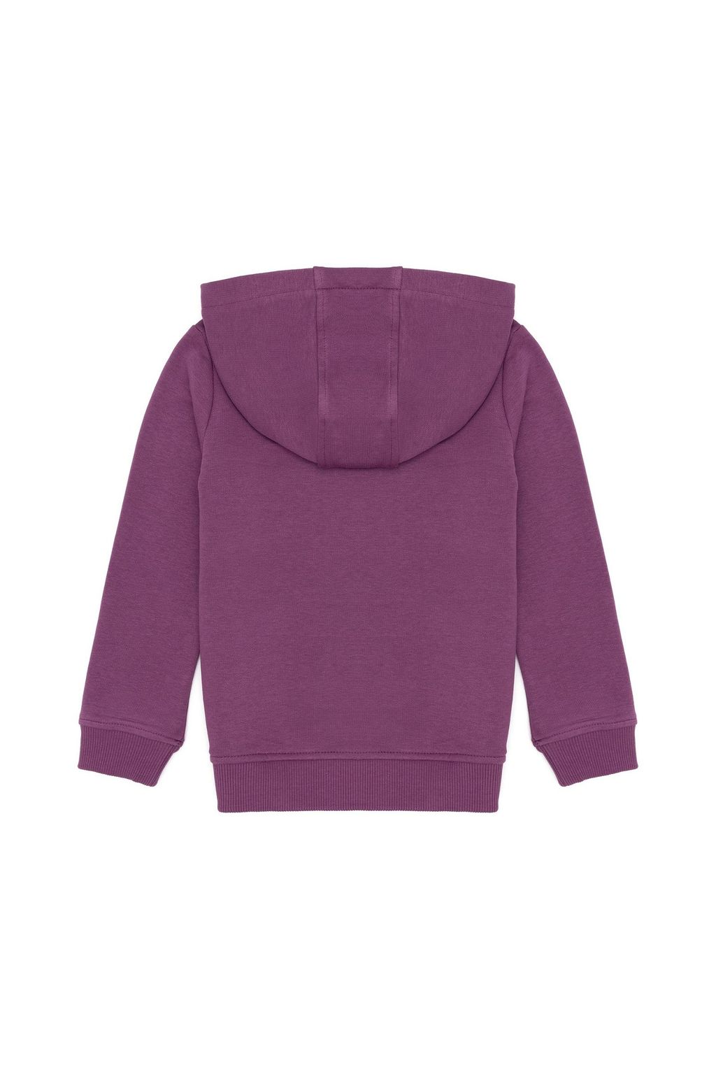 Фиолетовая толстовка для мальчиков Basic - U.s. polo assn фото 2