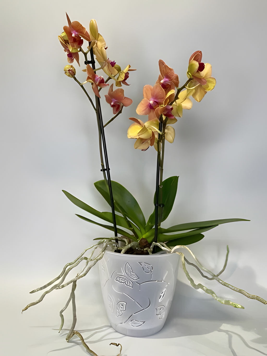 Горшок для орхидей Butterflies 0,7л d-115мм , арт. РТ1017