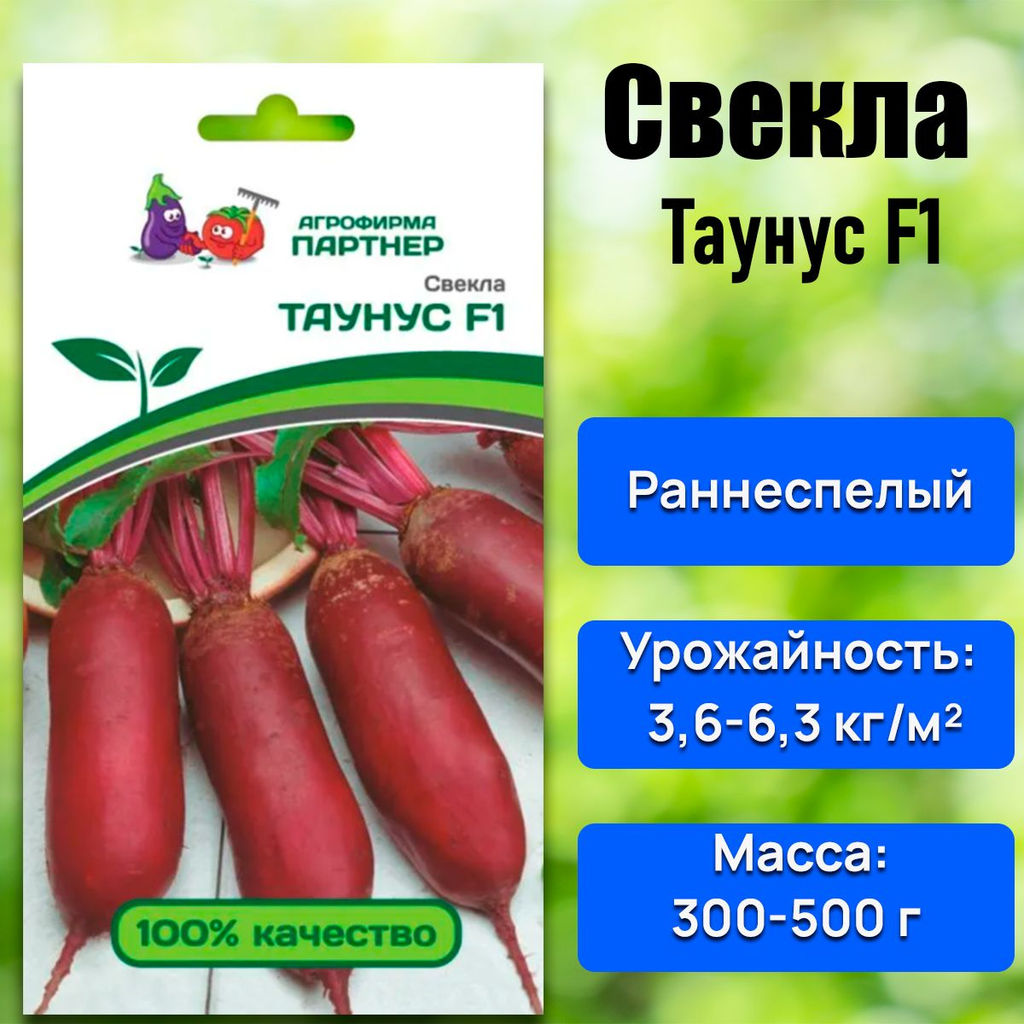 Свекла столовая Таунус