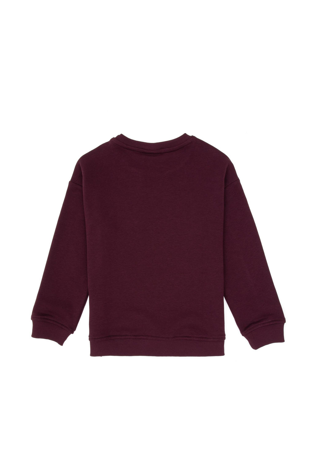 Erkek _ocuk Bordo Bisiklet Yaka Basic Sweatshirt - U.s. polo assn фото 2