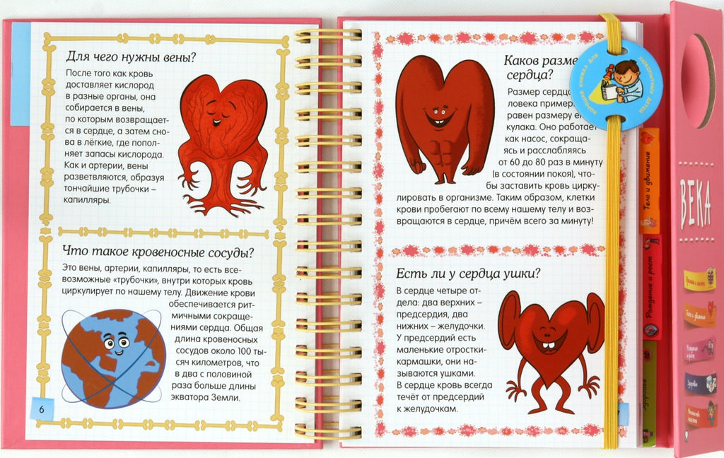 Тело человека (энциклопедия на пружине). Руайе А. - Махаон фото 3