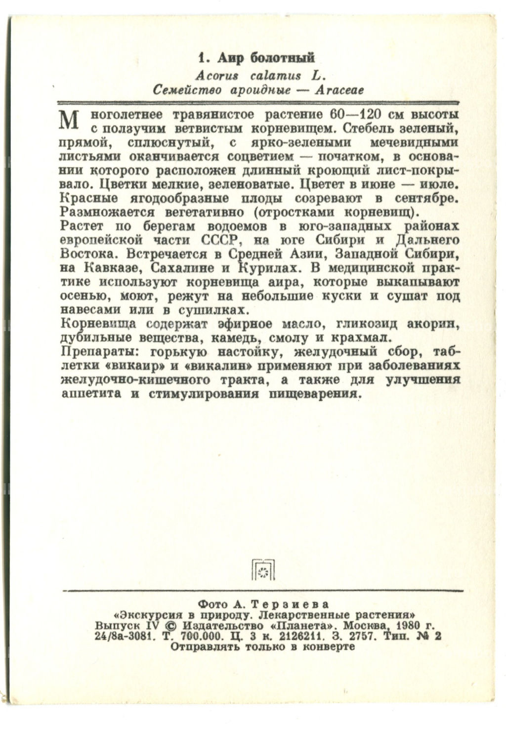 Открытка Аир болотный