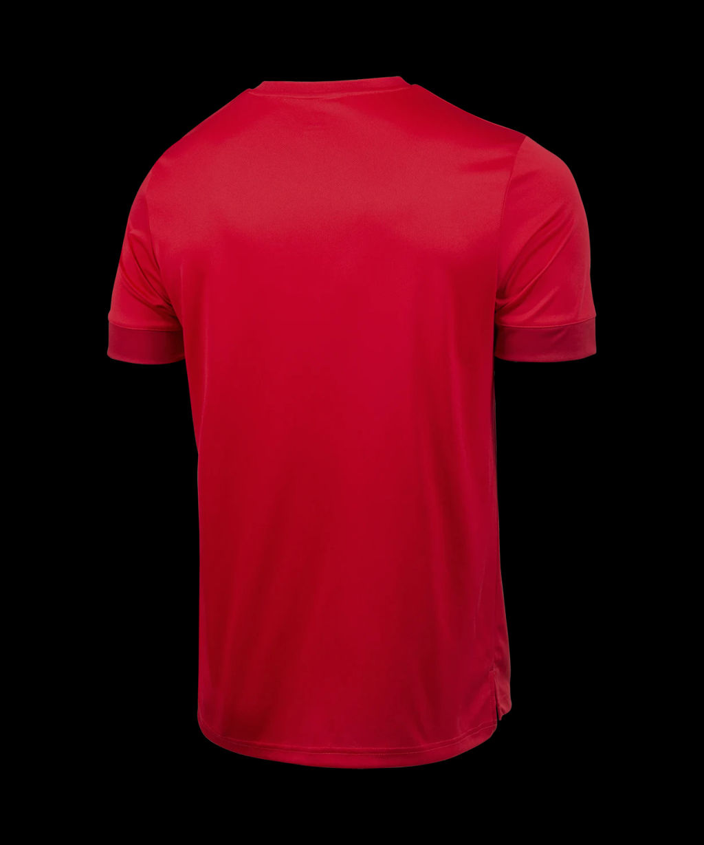 Футболка игровая JOGEL DIVISION PerFormDRY Union Jersey, красный/ темно-красный/белый фото 3