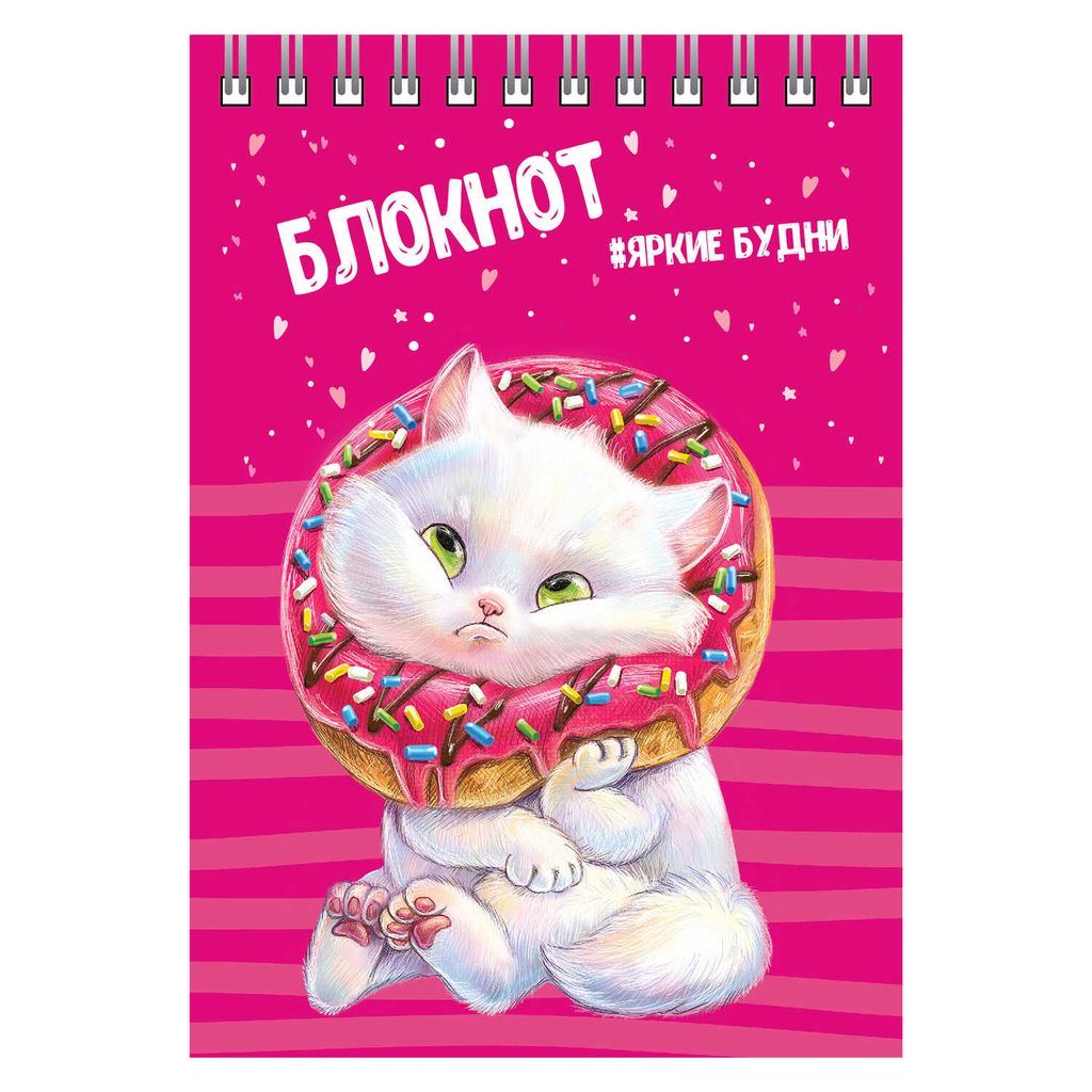 Цена за 2 шт. Блокнот, А6, 80 л, арт. 64305 КОТ