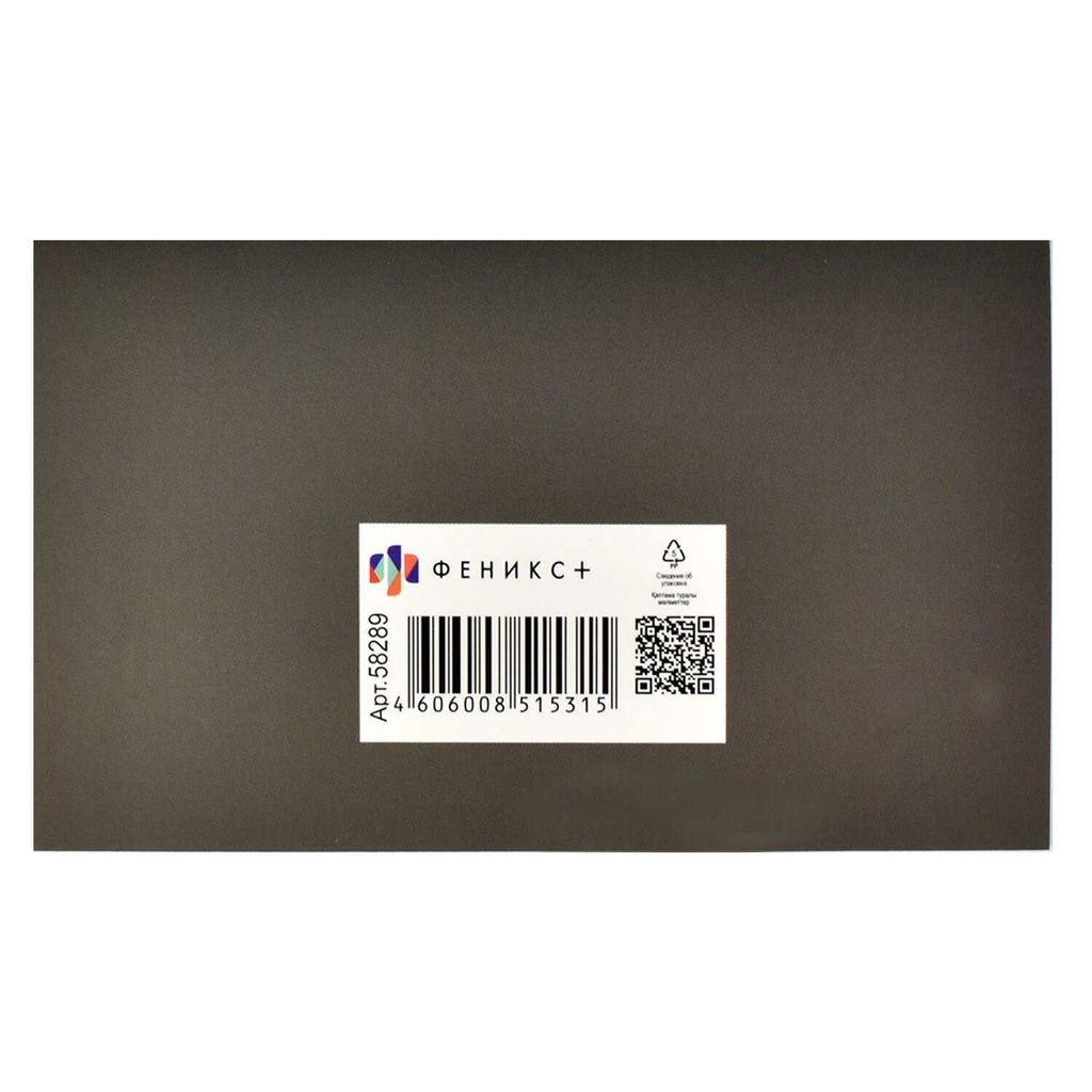 Записная книжка для записи интернет-адресов, логинов и паролей арт. 58289 ПОТОК ИНФОРМАЦИИ - Феникс+ фото 5