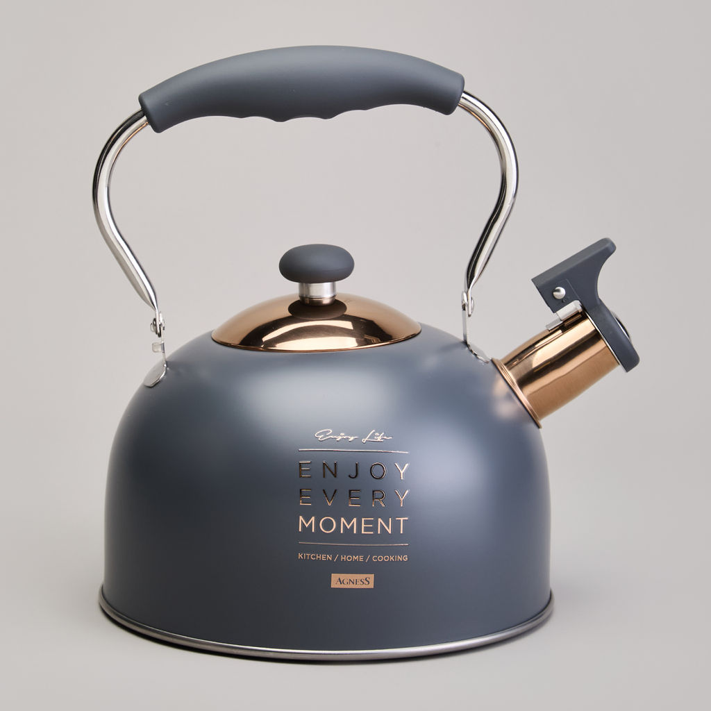 ЧАЙНИК AGNESS СО СВИСТКОМ 2,5 Л,НЖС ИНДУКЦИЯ  фото 4