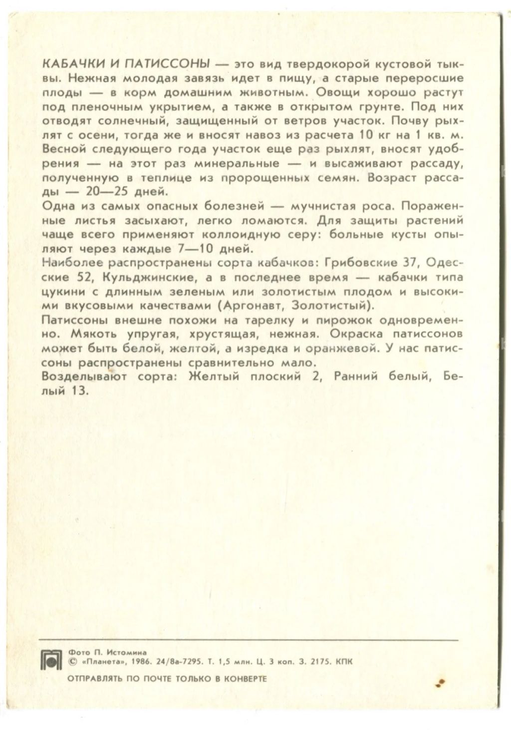 Открытка Патиссоны.Кабачки