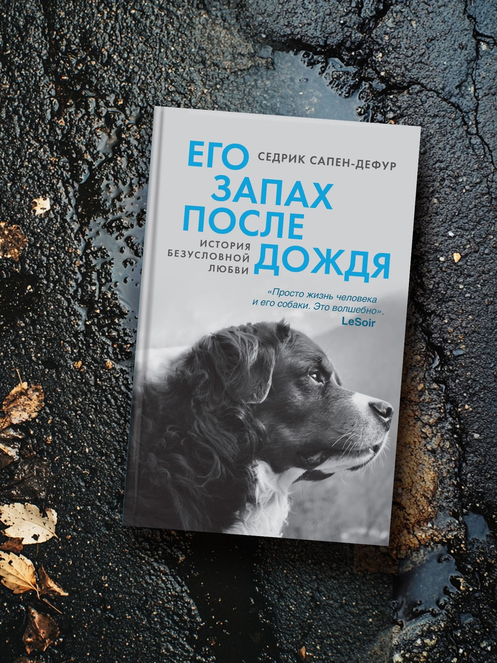 Его запах после дождя. Сапен-Дефур С.