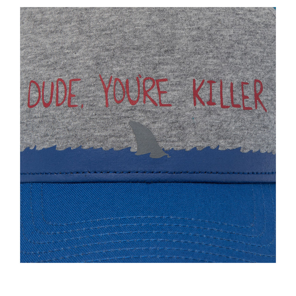 Бейсболка COASTAL арт. HFT KillerDude (светло-серый / синий) фото 4