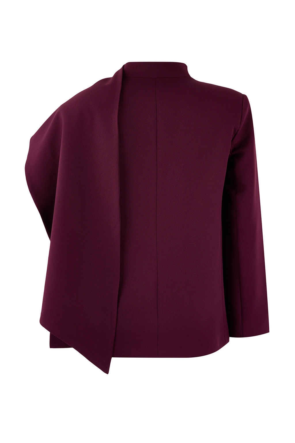 Siyah Sal Yaka Regular/Normal Kal?p Dokuma Astarl? Vatkal? Blazer Ceket TWOSS26BC00010 - Trendyolmilla фото 10