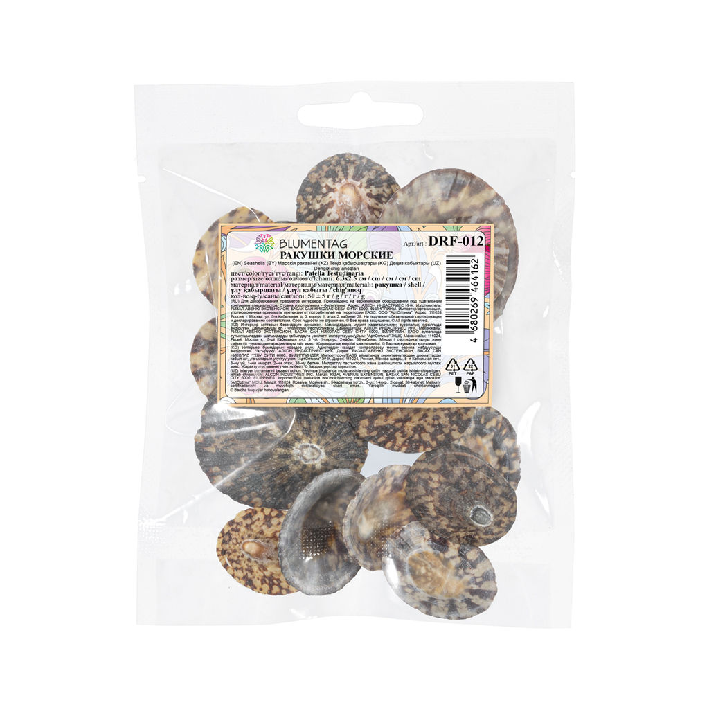 Blumentag / Zlatka DRF-012 Ракушки 50 г  5 г 6.3 см Patella Testudinaria  фото 3