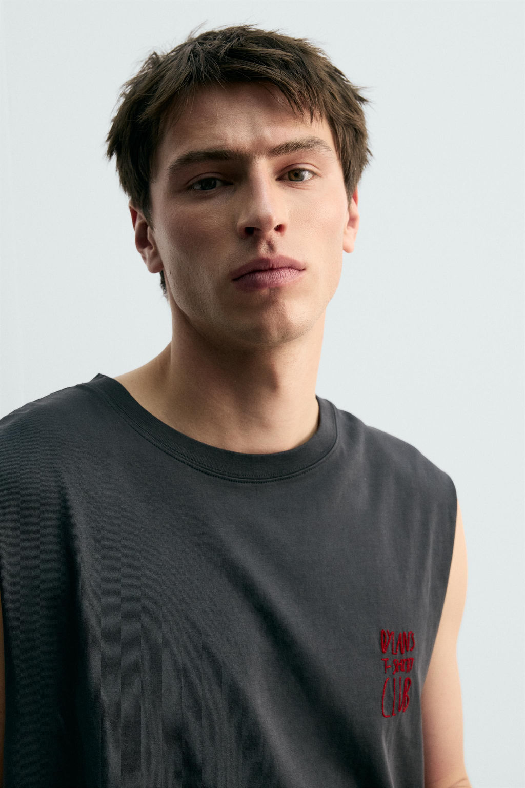 CAMISETA ILUSTRACI?N JURASSIC PARK UCS LLC AND AMBLIN  X DYLAN?S T-SHIRT CLUB X ZARA / Antracita oscuro  фото 5
