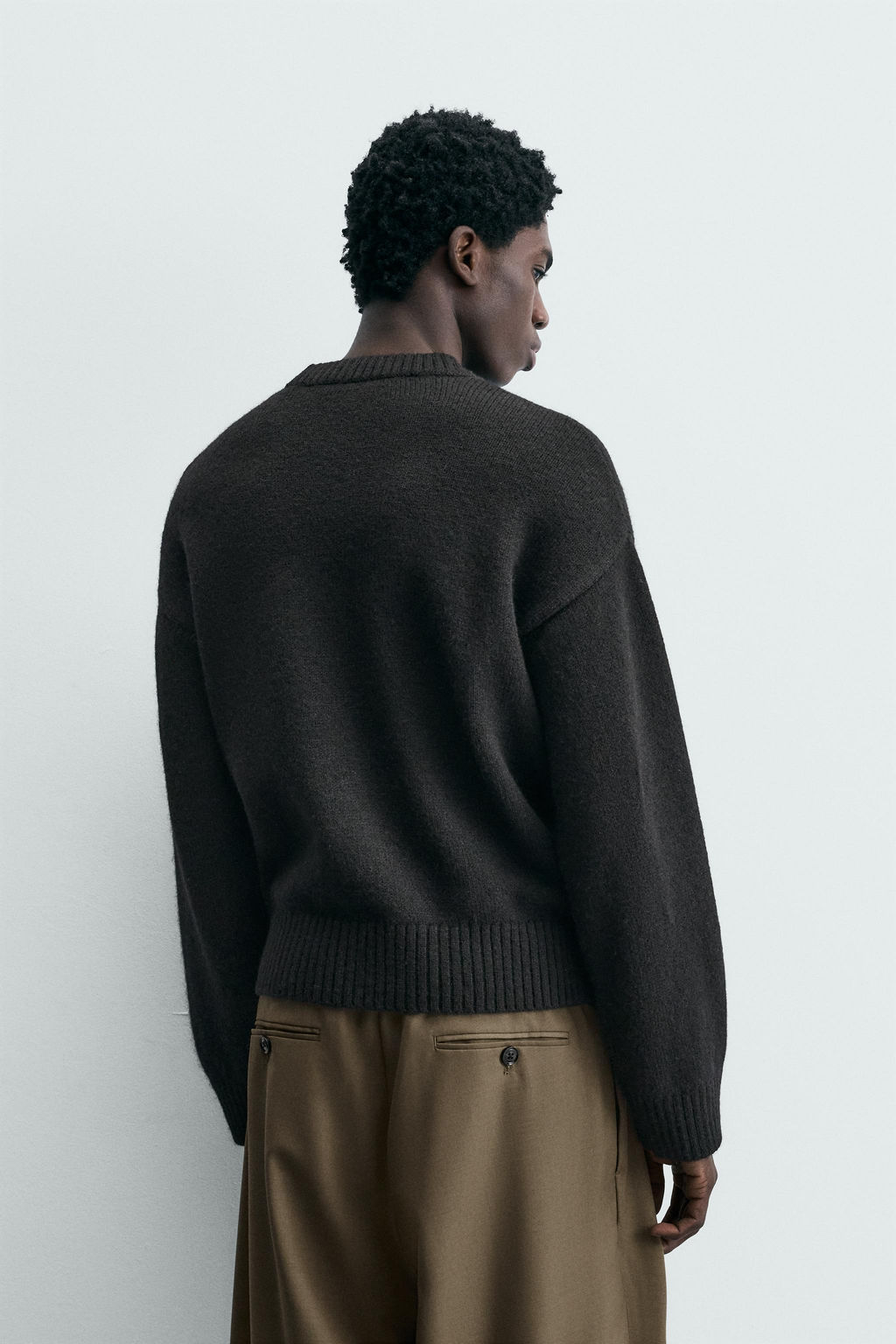 LIMITED EDITION JACQUARD THISTLE JUMPER - Zara фото 3