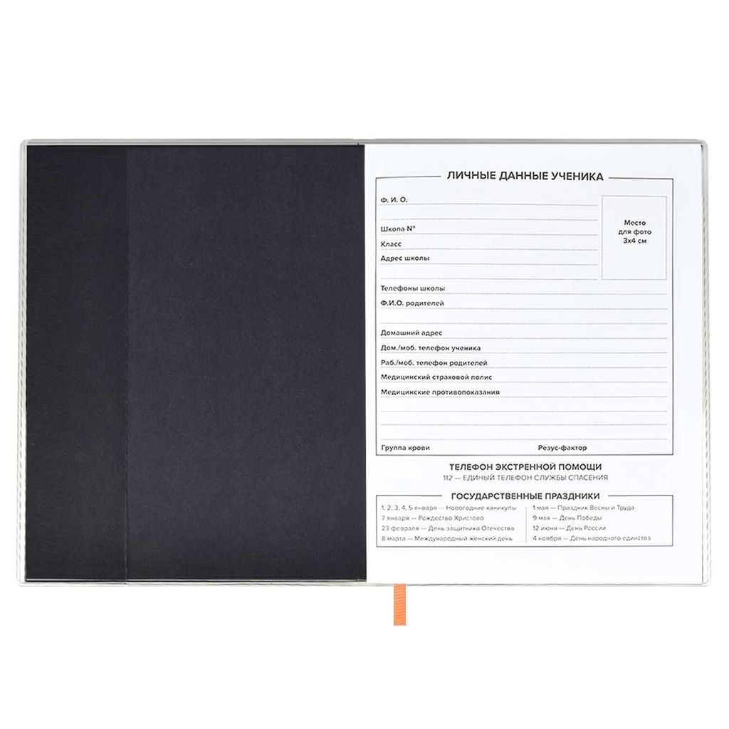 Дневник школьный арт. 58748 / 15 СПИЧКА - Феникс+ фото 4