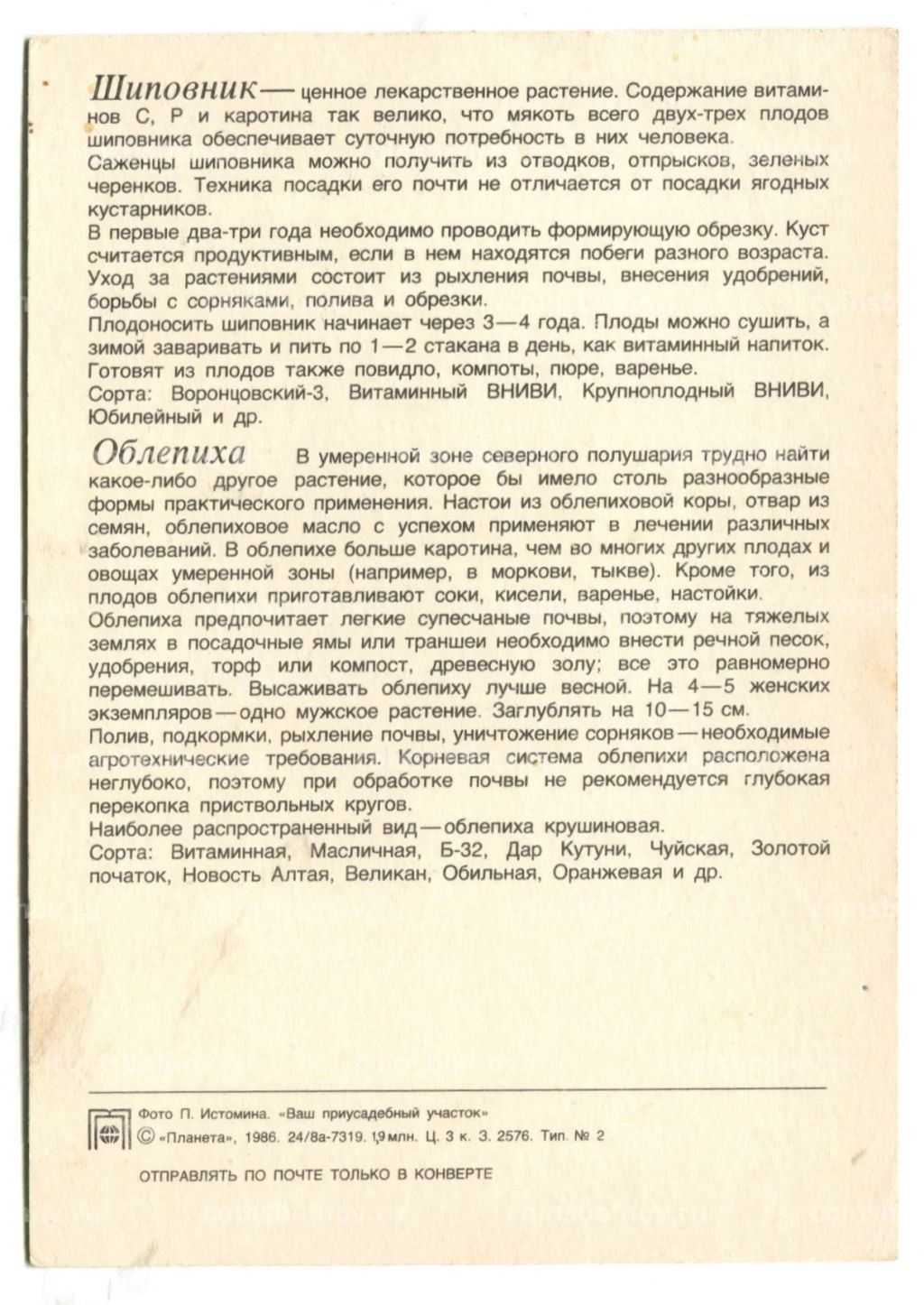 Открытка Шиповник.Облепиха