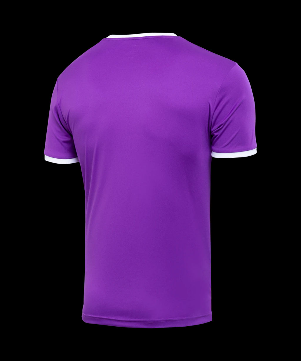 Футболка футбольная JOGEL CAMP Origin, фиолетовый/белый, детский
