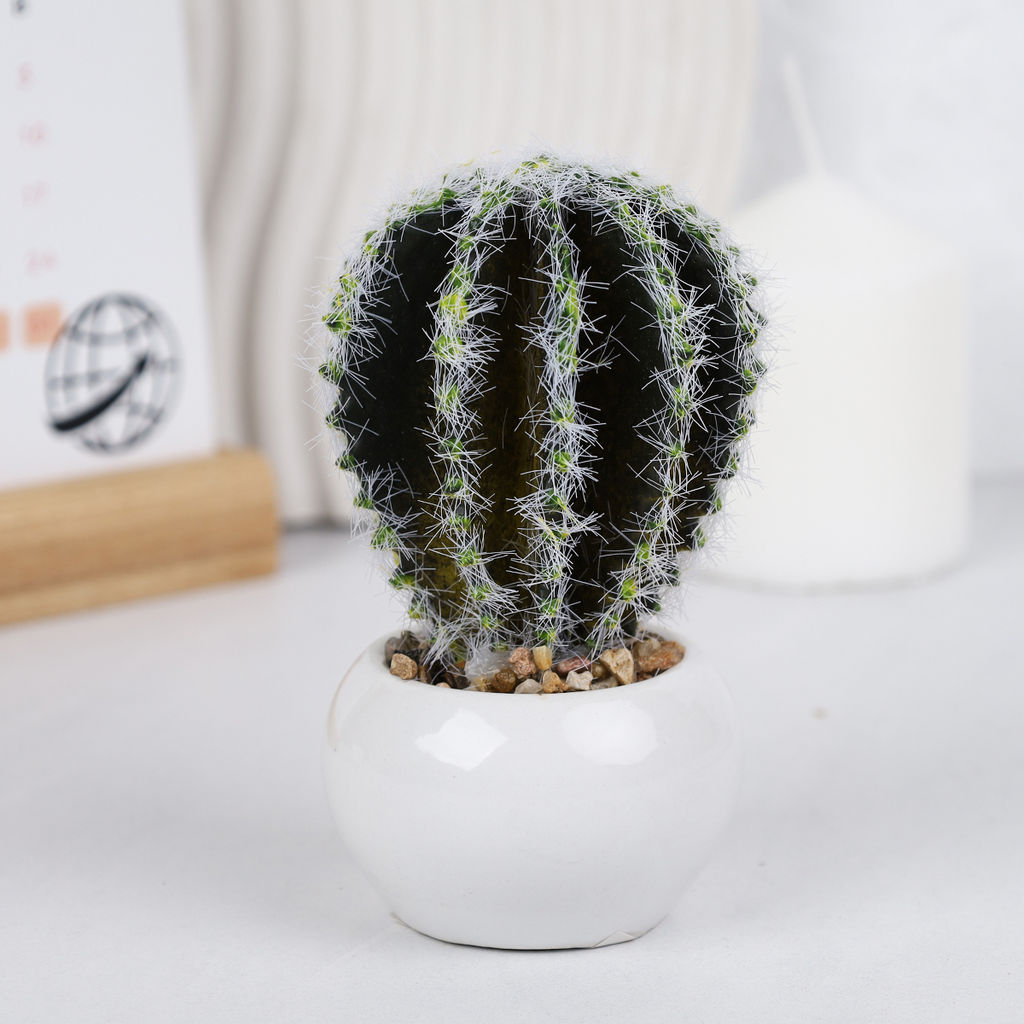 Цветочная композиция Кактус / WER-10 /уп 12/192/ микс