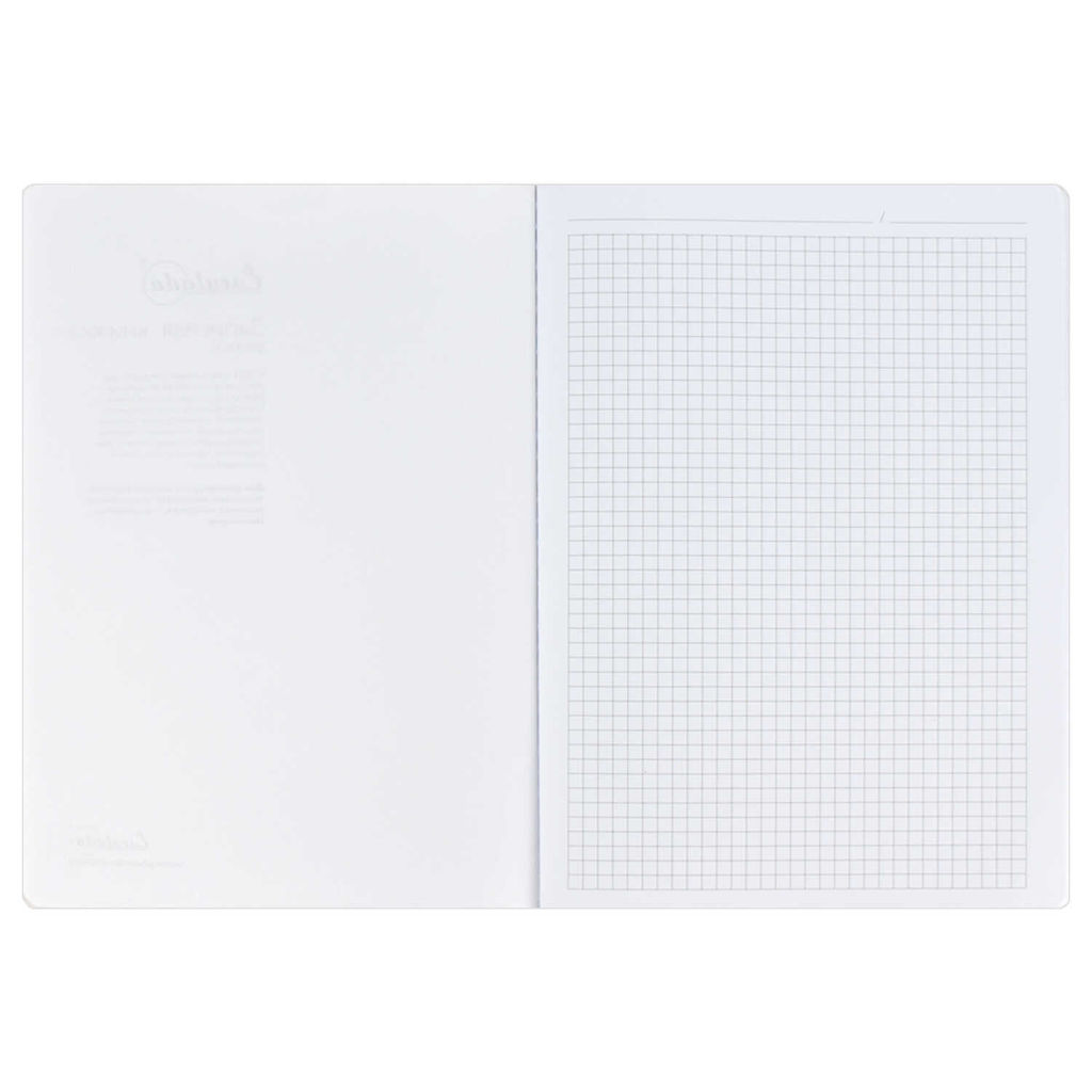 Записная книжка, А5+, арт. 52903/ 15 ШАГРЕНЬ ЗЕЛЁНЫЙ С АРОМАТОМ ЯБЛОКО - Феникс+ фото 10