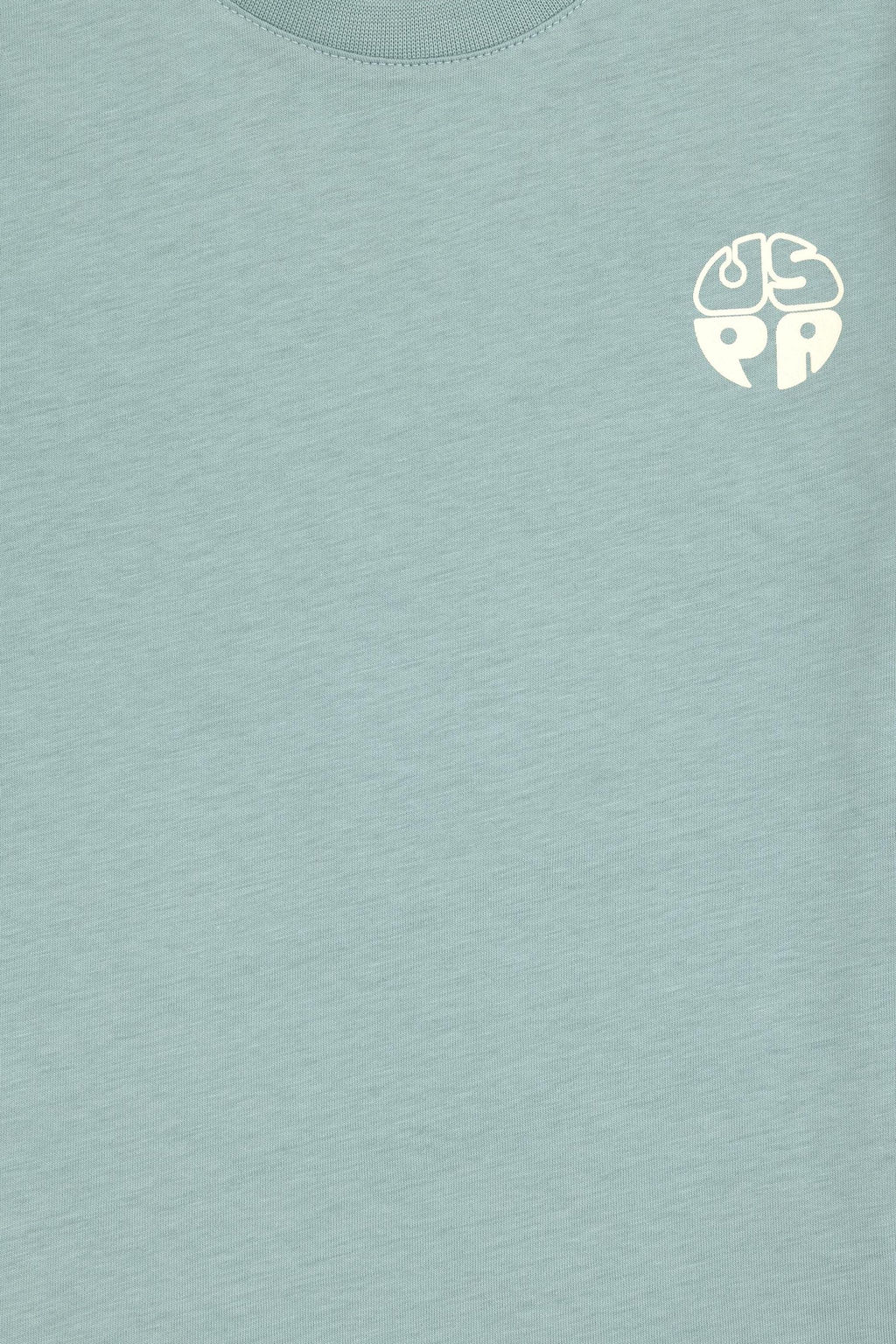 Erkek _ocuk Mint Basic Ti__rt - U.s. polo assn фото 3