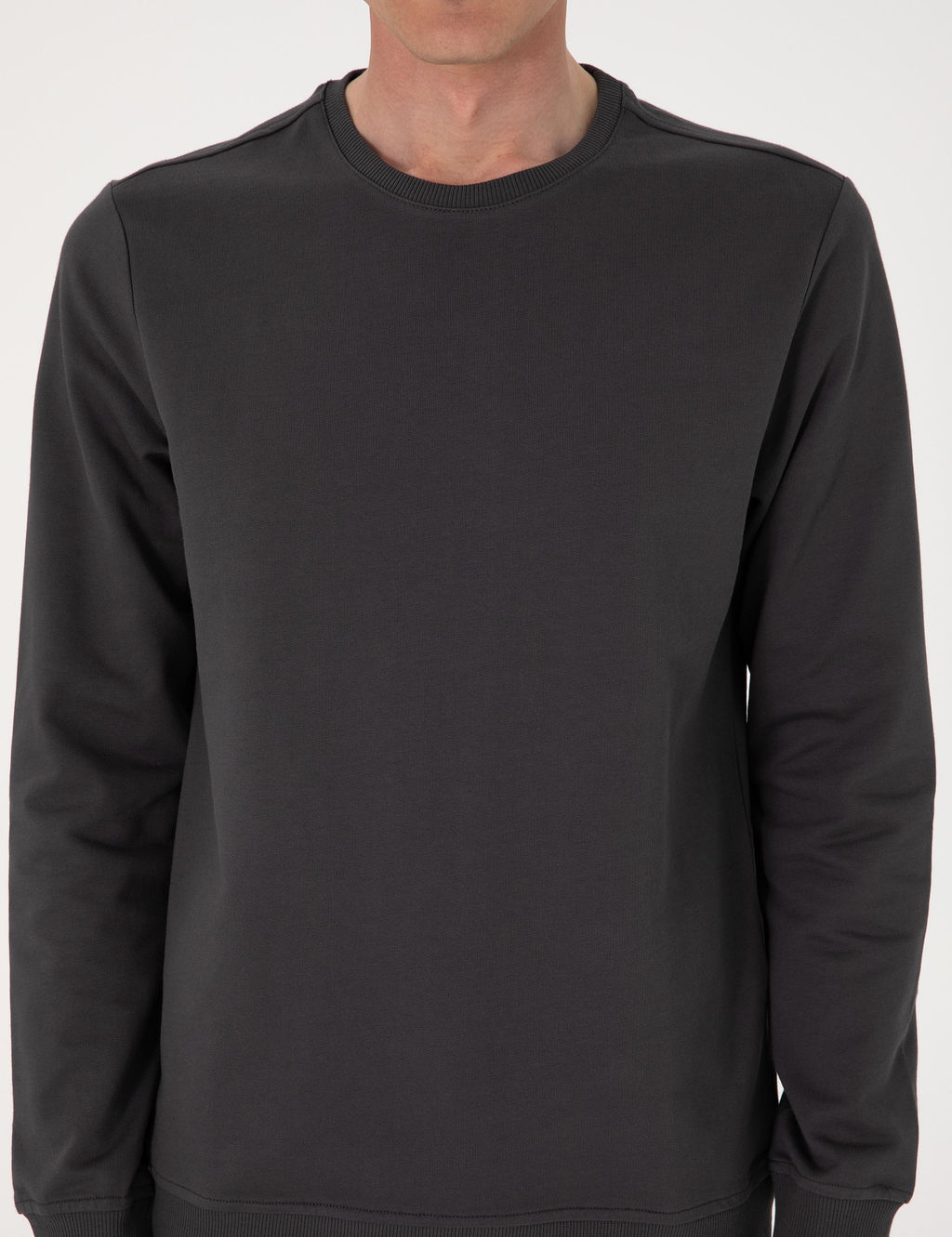 Antrasit 2 _plik Regular Fit Bisiklet Yaka Basic Sweatshirt - Pierre cardin фото 6
