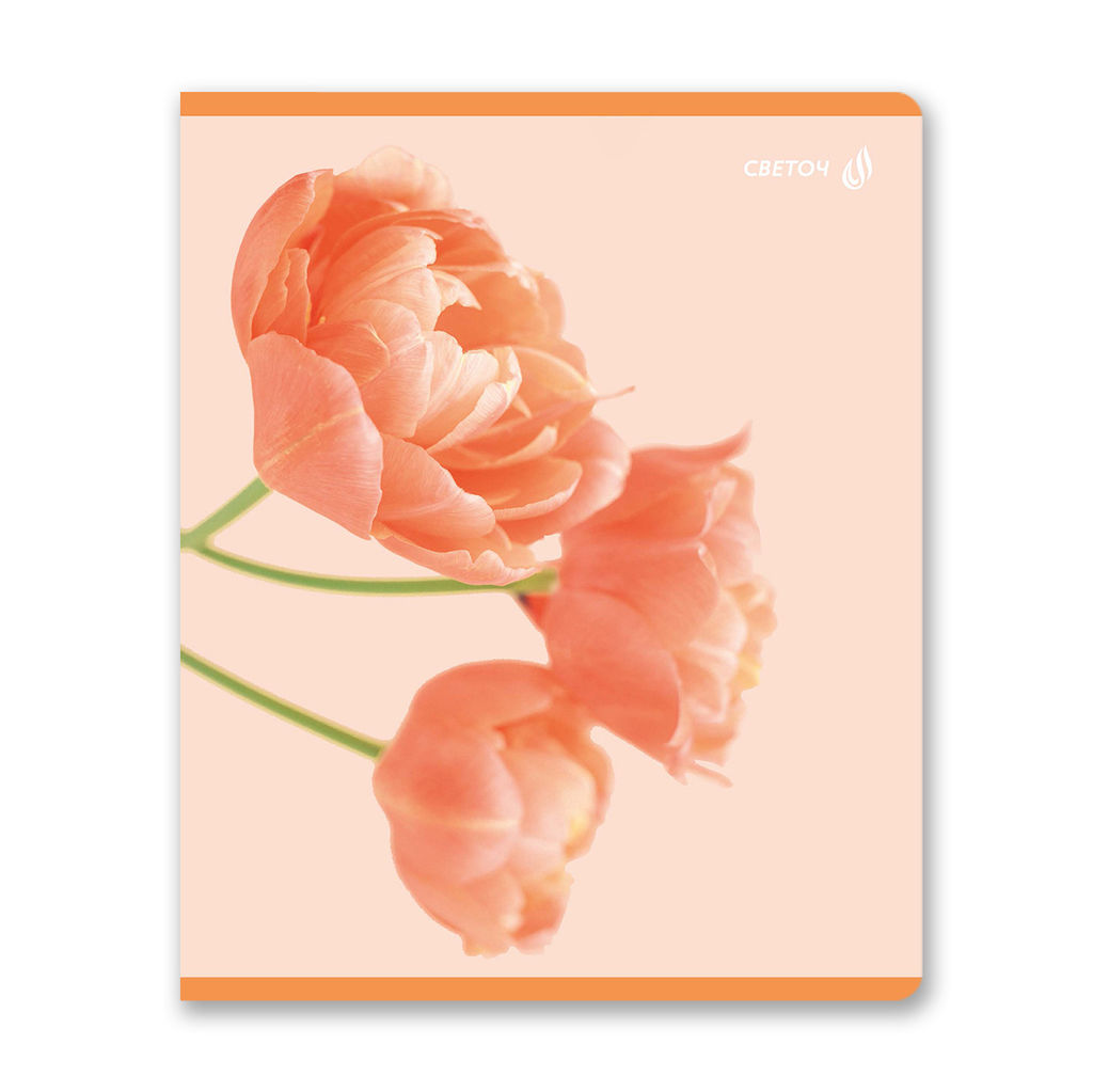 Светоч 96Т16 Тетрадь ученическая общая, матовая ламинация, A5 96 л. на скобе 65 г/кв.м , белизна 100 % 5 шт. клетка 01005 Абрикосовый краш  фото 6