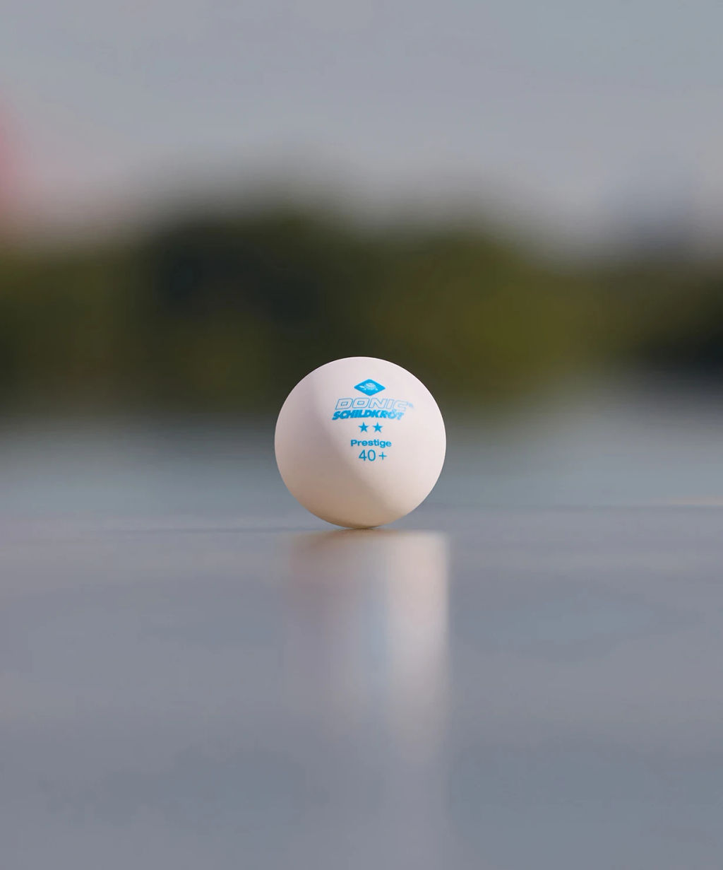 Мяч для настольного тенниса Donic 2* Prestige, белый 6 шт.