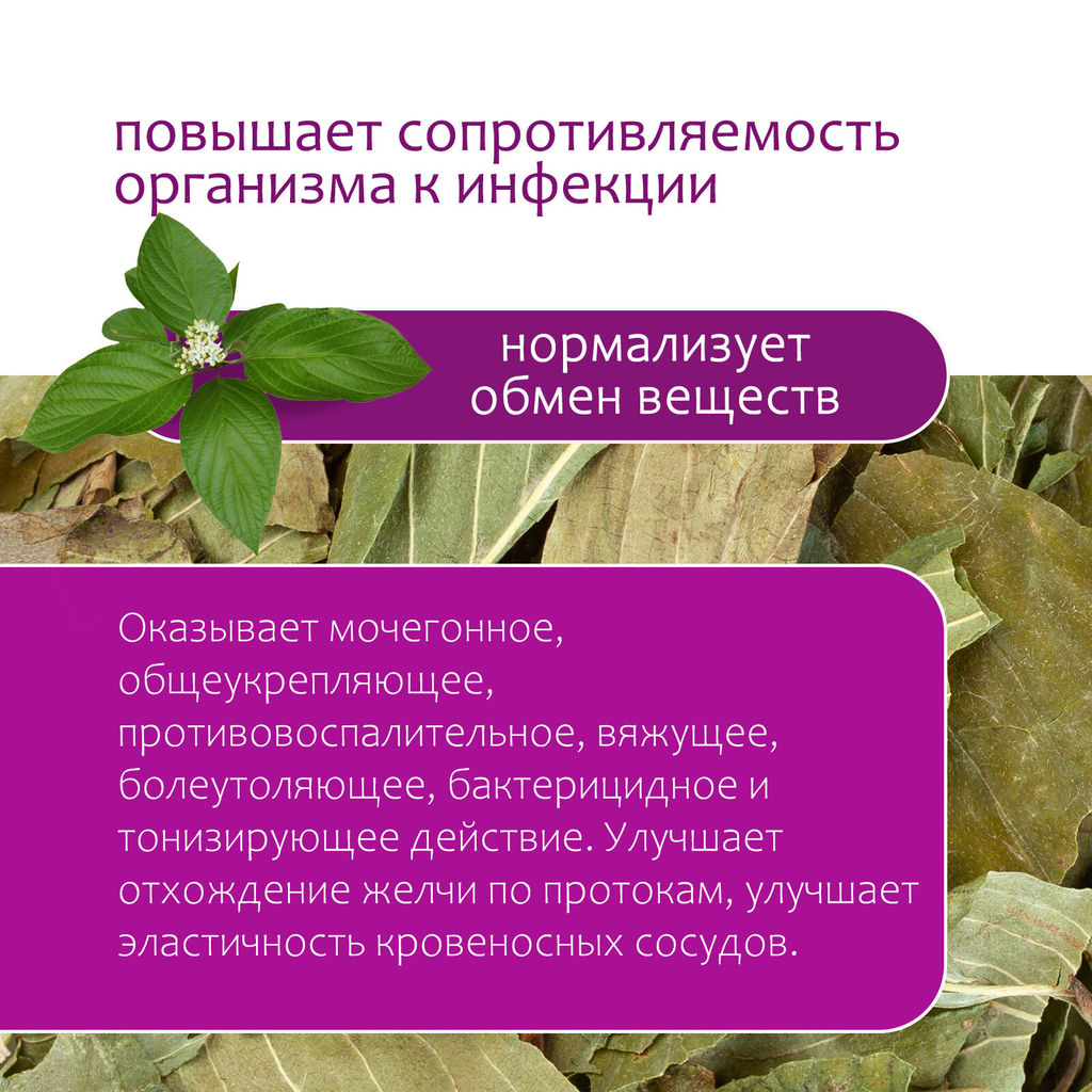 Лист кизила - Травы горного крыма фото 3