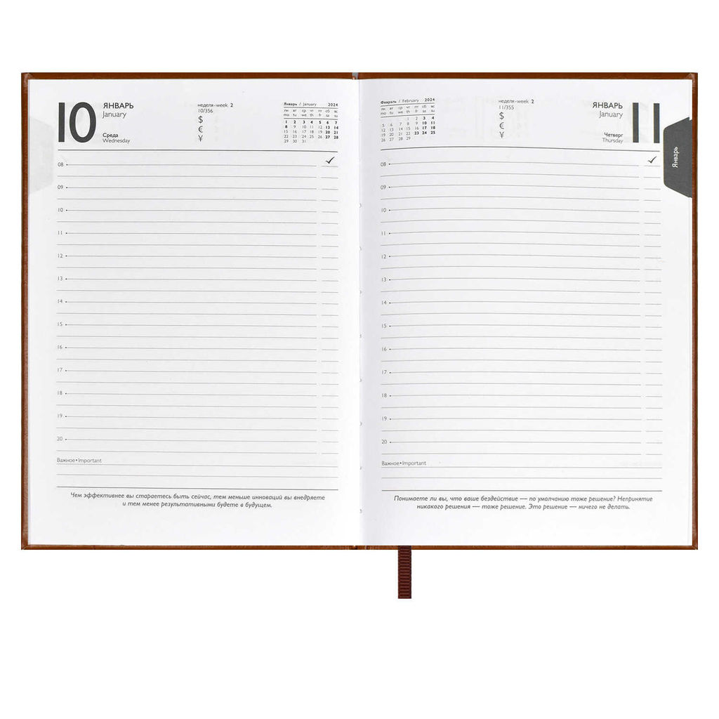 Ежедневник датированный 2024 ESCALADA, А6+, 176 л., арт. 63793/ 20 САРИФ-ЭКОНОМ КОРИЧНЕВЫЙ  фото 9