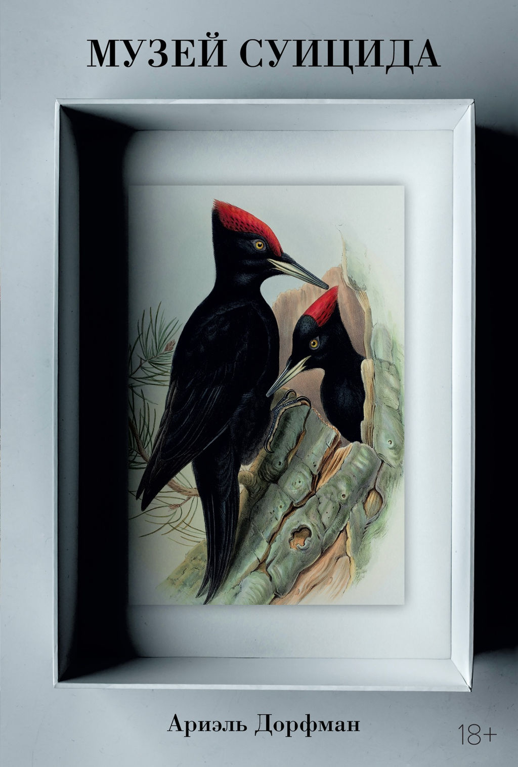 Музей суицида. Дорфман А. - Колибри фото 2