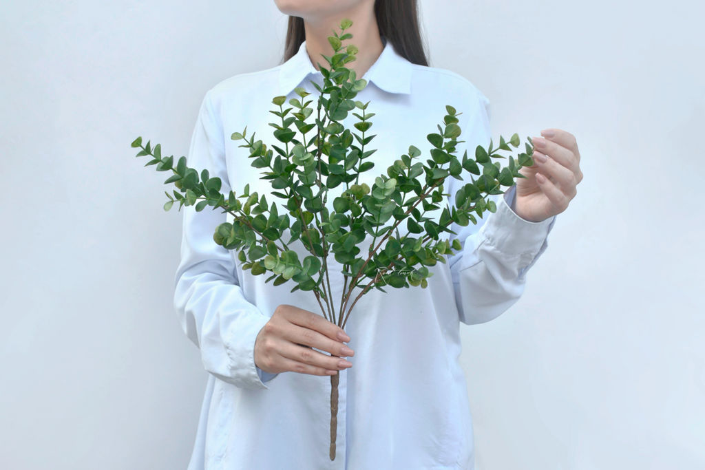 Эвкалипт пучок - Зеленый