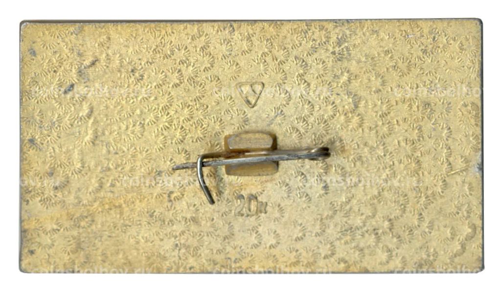 Значок Владимир