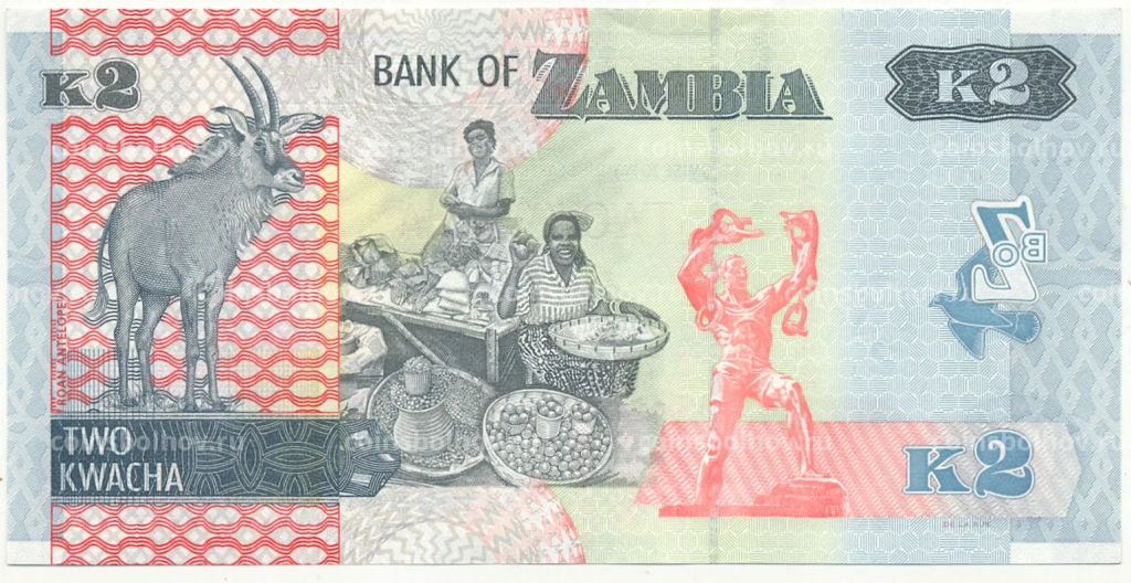 2 квача 2022 года Замбия