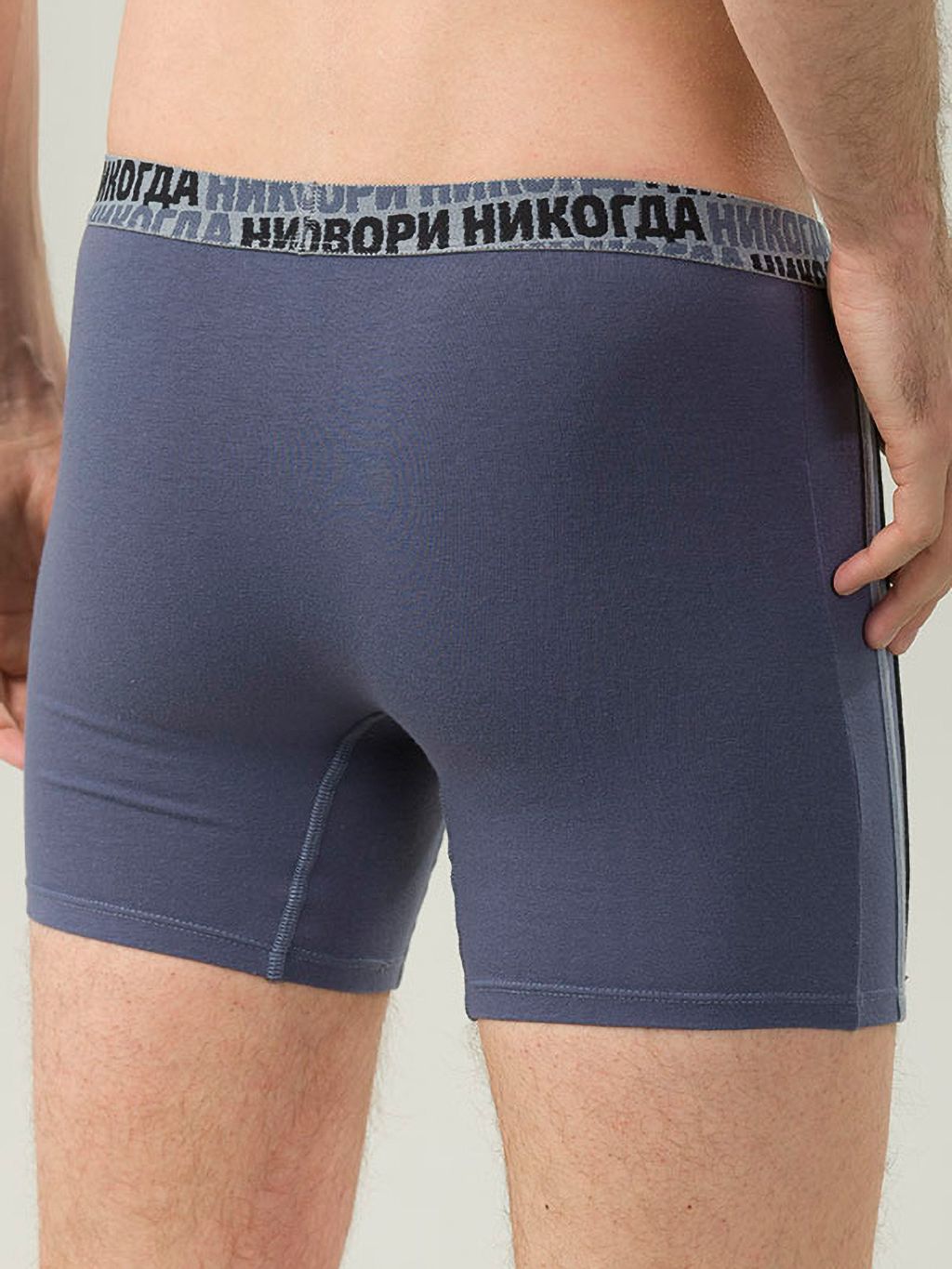 PELICAN, трусы мужские, Черника  фото 5