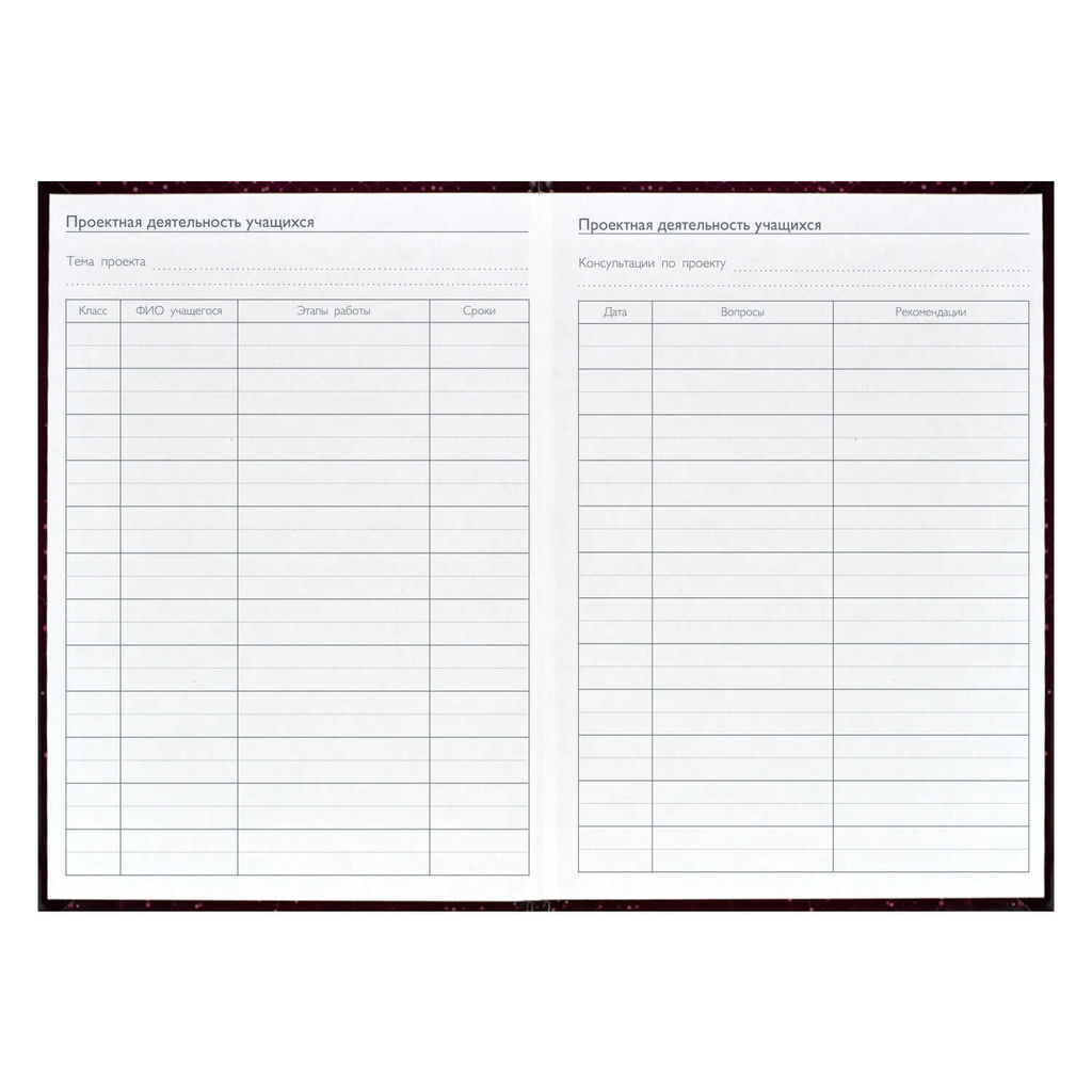 Ежегодник учителя арт. 62336 БОРДОВАЯ ФАКТУРА - Феникс+ фото 6