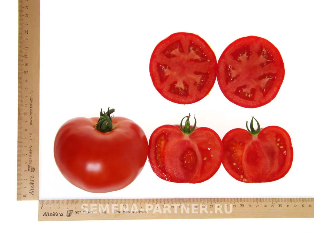 Томат Момбаса - Партнер фото 7
