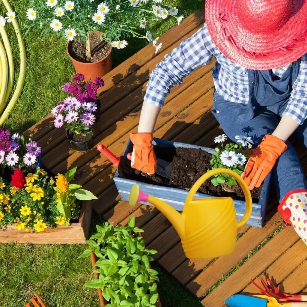 Цена за 2 шт. Лейка 2,5л. с рассеивателем (уп.15) М310