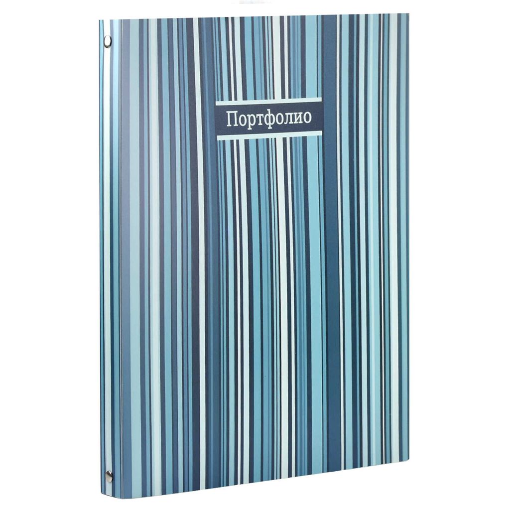 Портфолио универсальное арт.39282 ФАКТУРА ПОЛОСЫ - Феникс+ фото 2