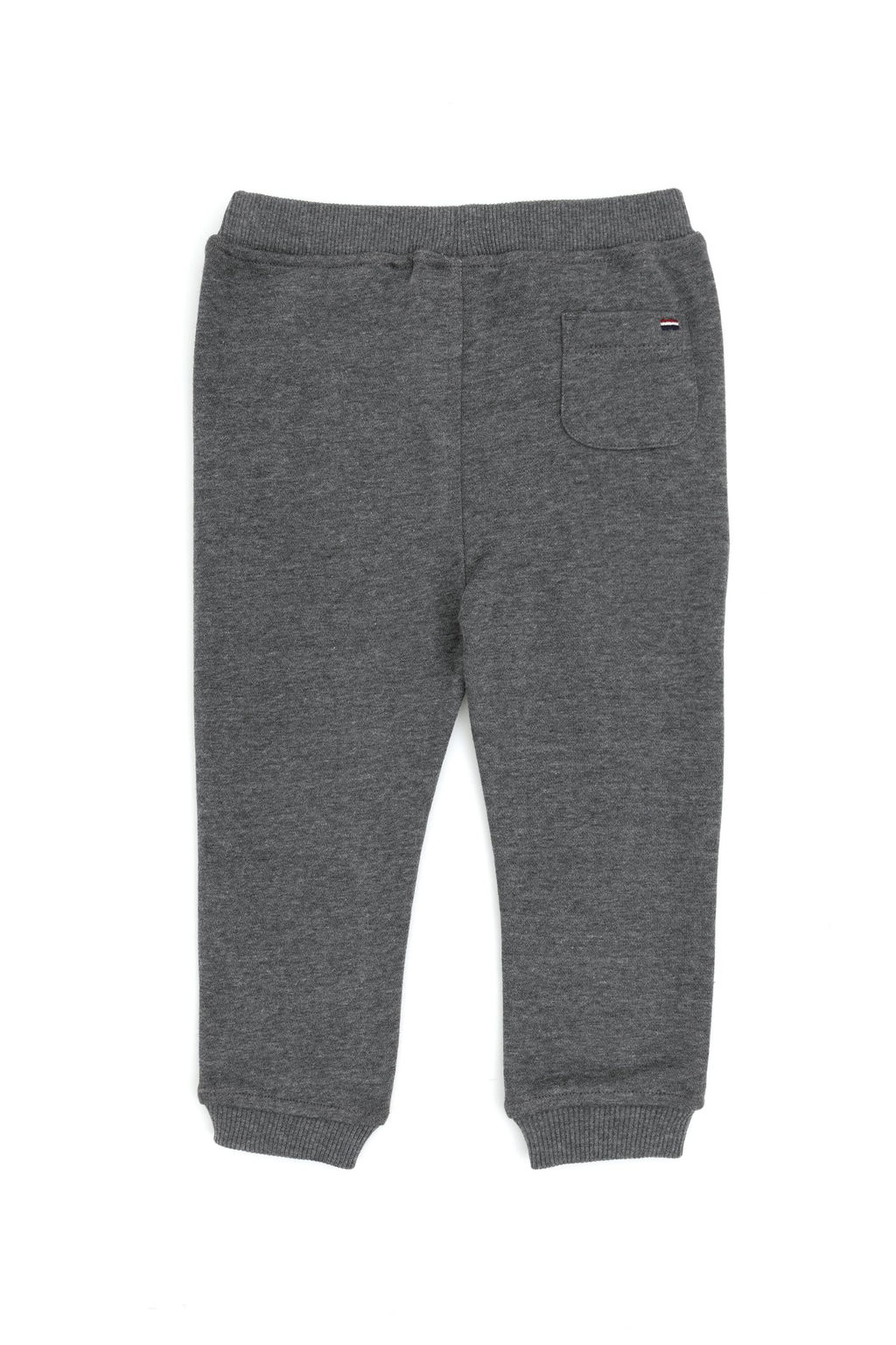 Серые спортивные штаны для маленьких мальчиков Неожиданная скидка в корзине - U.s. polo assn фото 3