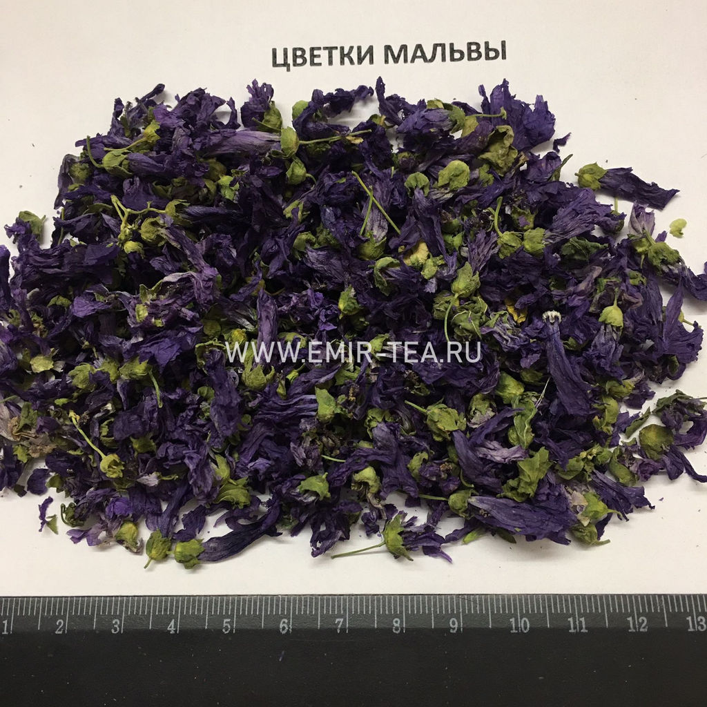 Мальва цветок (код 0172)