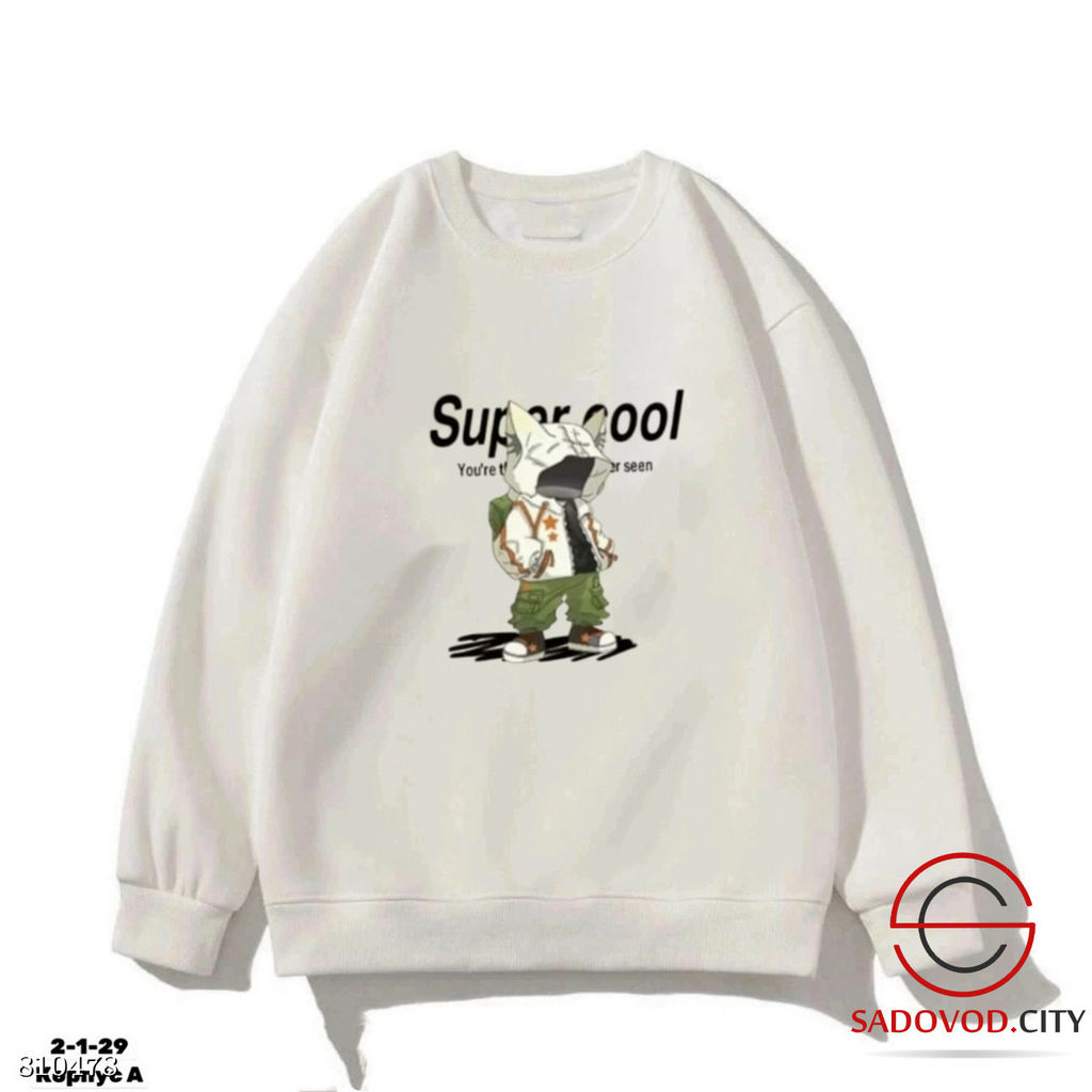 Худи, двунитка с рисунком - Bruno фото 4