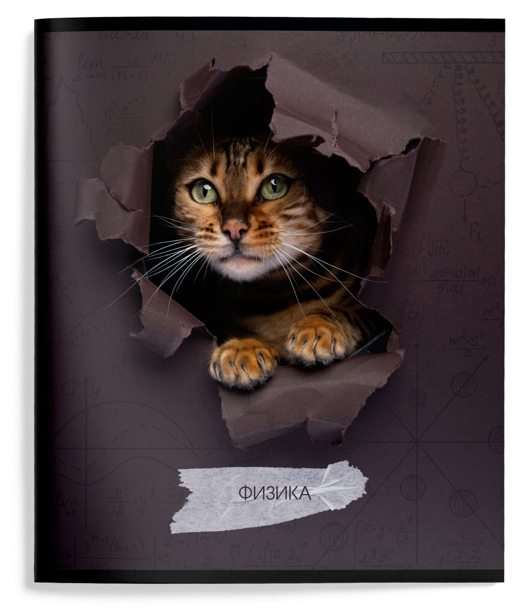 Цена за 2 шт. Тетрадь 48 л. А5 клетка, на скрепке, Schoolformat ЛЮБОПЫТНЫЙ КОТИК Физика мелованный карто...